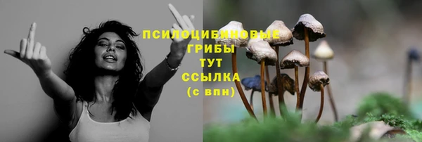 MDMA Алексин