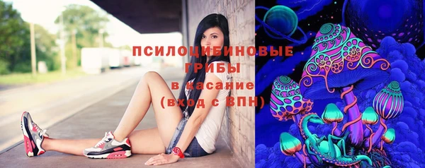 молекула духа Алзамай