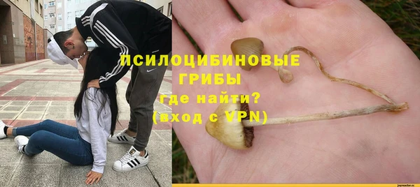 бошки Алексеевка