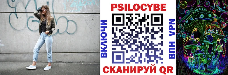 Псилоцибиновые грибы Psilocybe  Данилов 